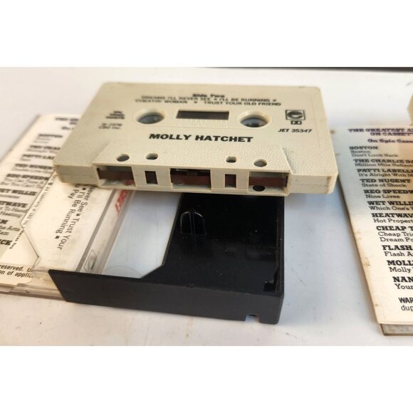 Molly Hatchet Lot Of 2 Cassette Tapes - Self-Titled & Flirtin With Disaster - Picture 7 of 13